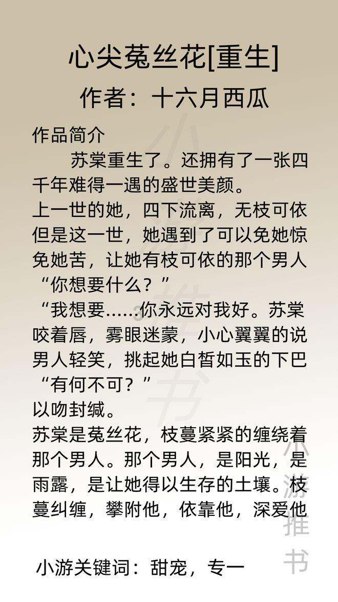 电动车控制器接线游戏画面