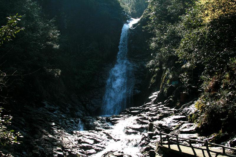 三色变形小怪